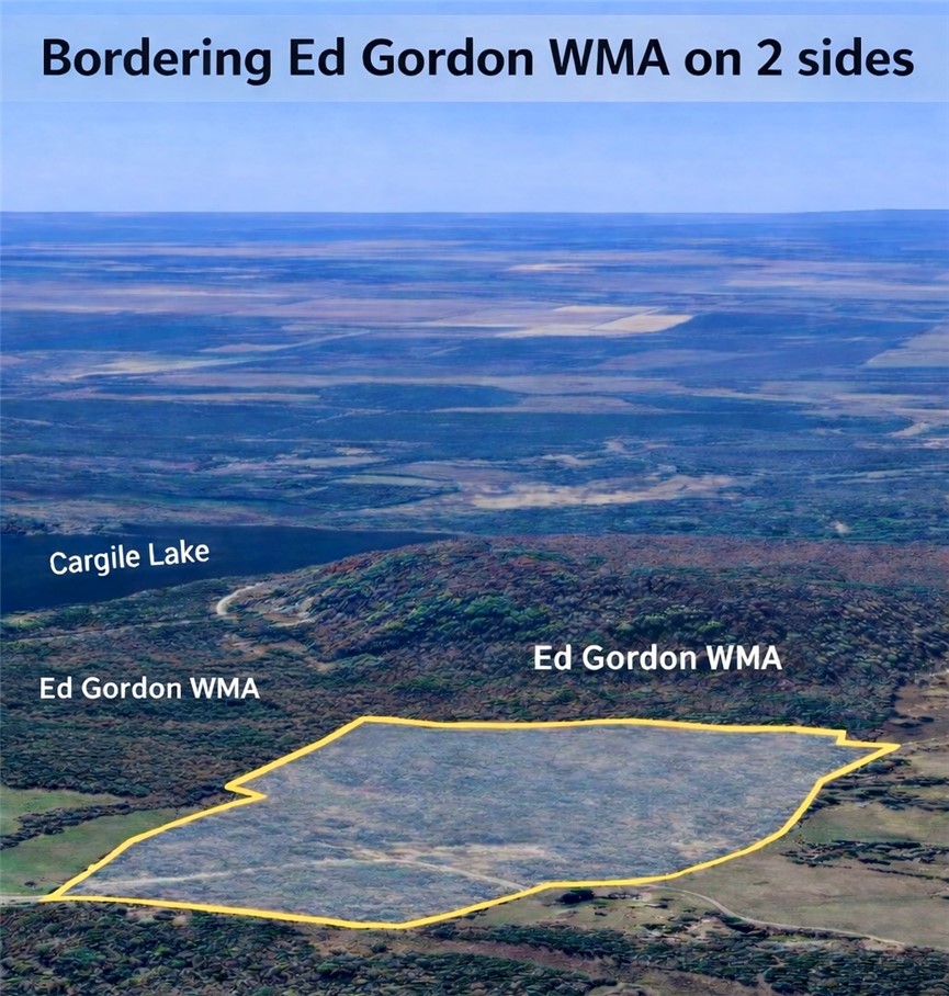 84 acres bordering the Ed Gordon Wildlife Management Area, a rare opportunity for hunters and outdoor enthusiasts looking for direct access to thousands of additional acres of public land. This property has been managed for wildlife and features multiple established food plots, a strong deer and turkey population, and a well-developed trail system throughout. A mix of habitat types supports consistent game movement, while fruit and nut trees including pear, persimmon, apple, and chestnut enhance wildlife attraction. Bordering the Ed Gordon WMA helps reduce hunting pressure on surrounding private tracts and creates expanded hunting opportunities right from your property line. The terrain also includes natural clearings suitable for a future cabin or hunting lodge. Whether you’re looking for a private hunting retreat, recreational getaway, or long-term land investment, this tract offers proven wildlife activity, privacy, and direct access to one of the area’s premier wildlife management areas.