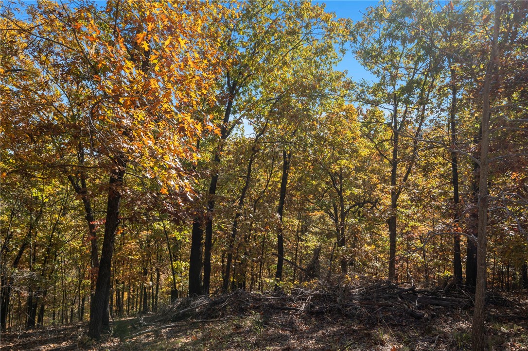 Beavers Cove - Land
