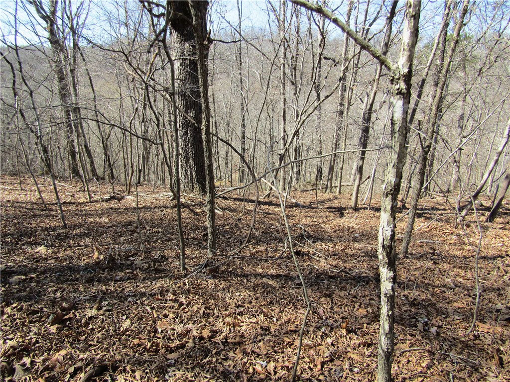 4.08 Acres of country Living. Secluded Part of Posy Mountain. Just a few miles off the pavement.  25 minutes to Rogers.  Surveyed. Lots of Wild Life.  No mobiles allowed.  Lost Bridge Village Amenities.