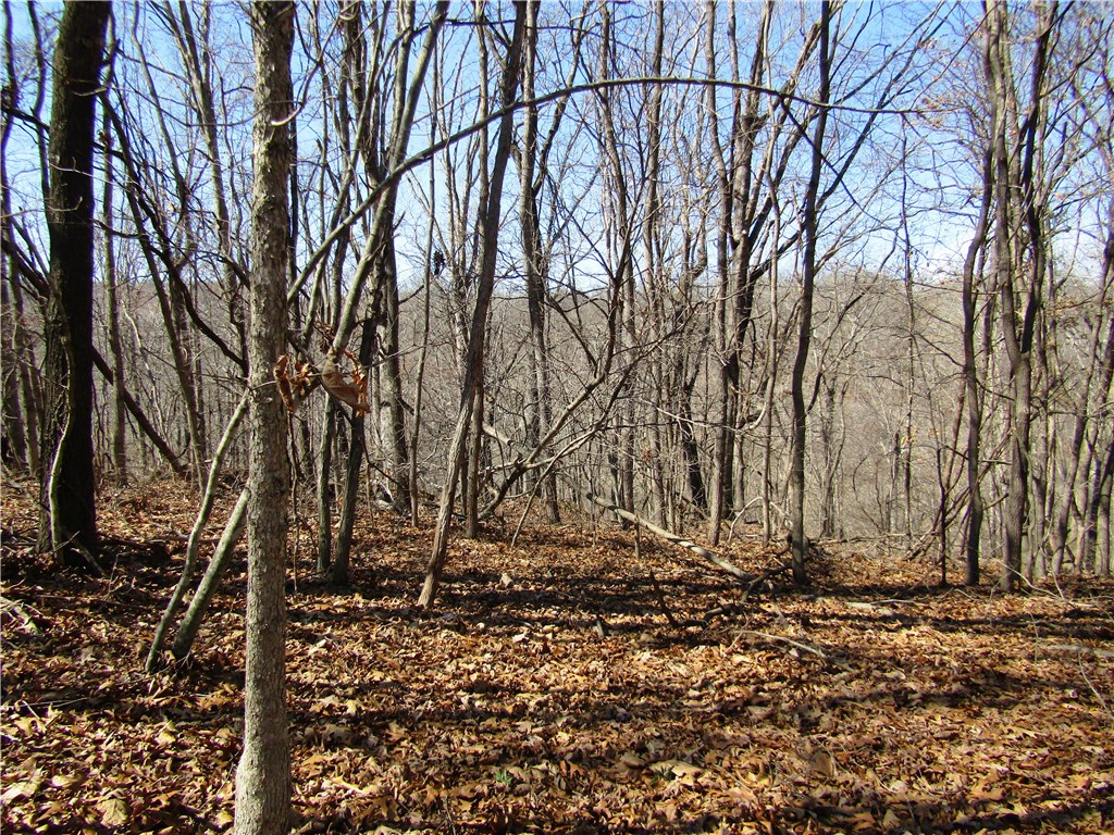Posy Mountain Ranch - Land