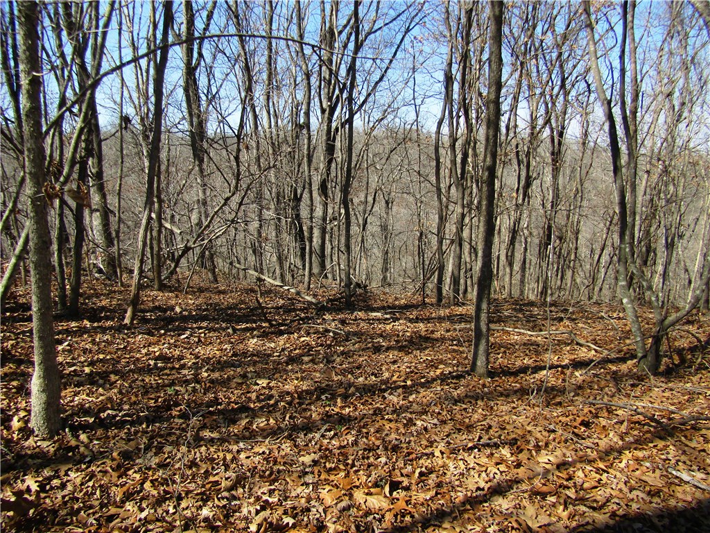 Posy Mountain Ranch - Land