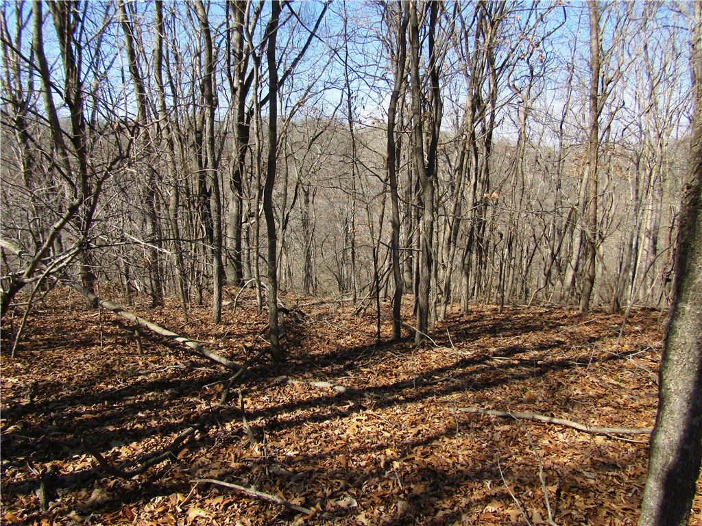 Posy Mountain Ranch - Land