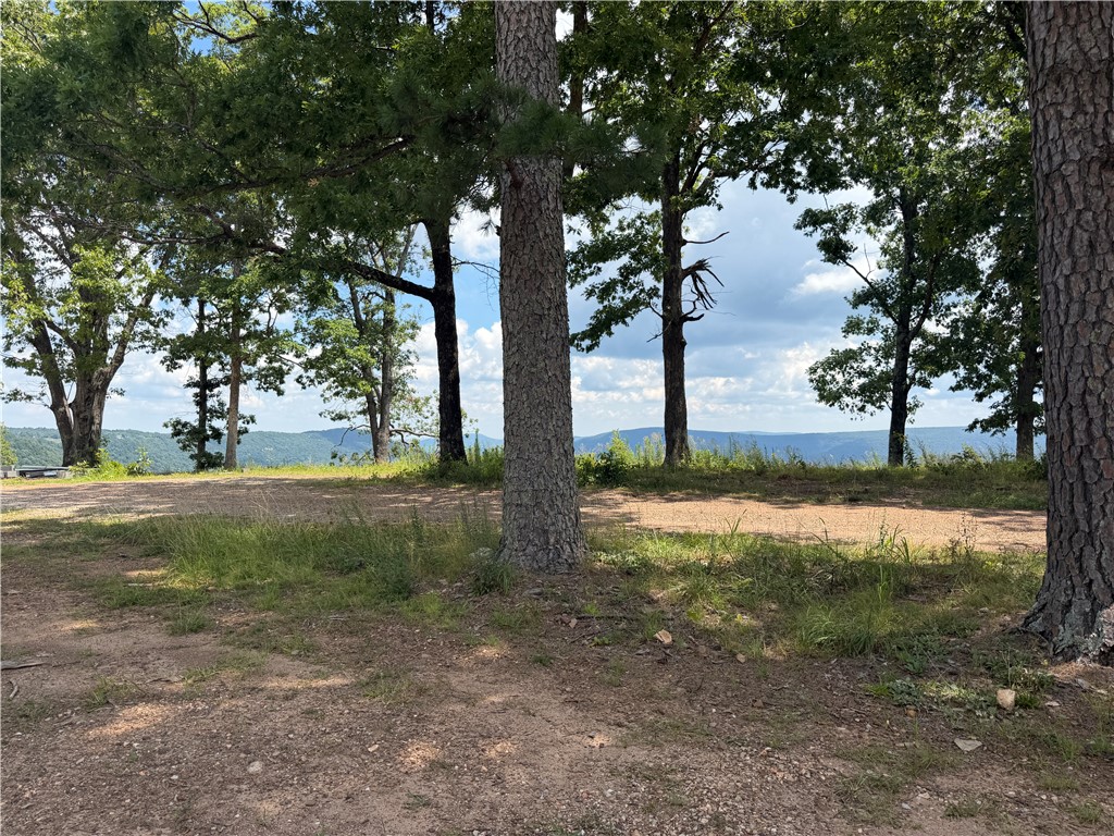 Discover a rare opportunity to own 1.27 acres with a beautiful view of the Arkansas Grand Canyon. This special property is ready to build on, with water and power already available and a cleared building area in place. Enjoy easy access from Scenic Highway 7 while still being surrounded by the natural beauty of the Ozarks. Located near hiking trails and forestland and only about 15 minutes from the Jasper square, this lot offers peaceful mountain surroundings, impressive canyon views, and a convenient location for your future cabin, home, or Ozark getaway.
