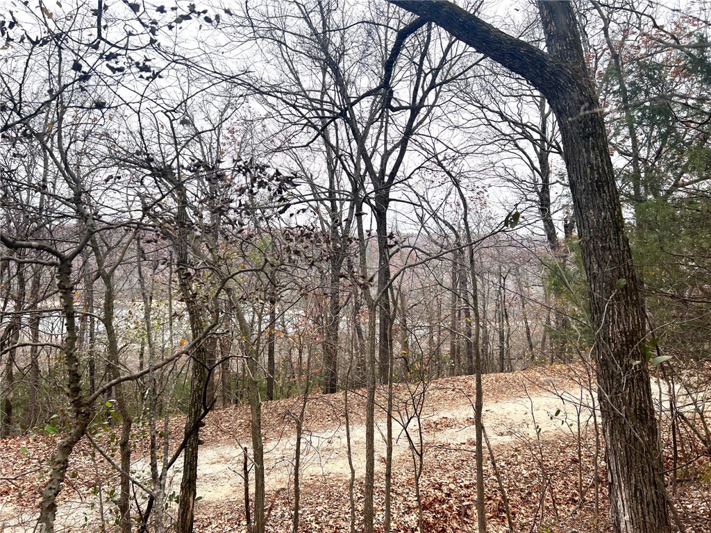 Nice secluded lot in Lost Bridge Village with views of Beaver Lake. Wooded lot with water and sewer at the street. Perfect getaway lot to build on or a place to make your private residence. Seller financing optional.