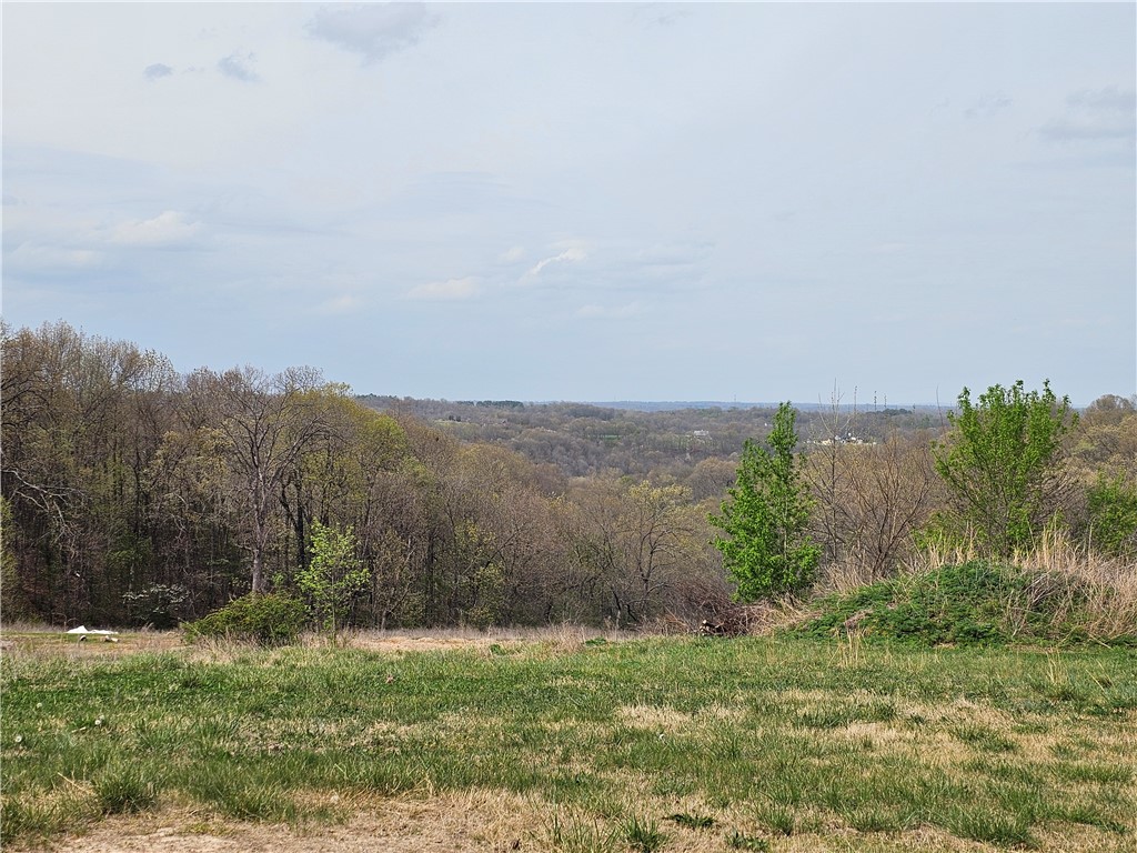 3.8 acres with amazing views, located just 3.5 miles from Hickory Creek. This house offers strong potential for investors or buyers looking to make it their own. This 3-bedroom, 1-bath home is in need of repairs but has some solid bones. Property features multiple covered carports, including RV parking with electric hookup, plus additional covered space for tractors, trailers, or equipment. A 21x24 insulated shop includes commercial wiring, 200 AMP service, 8’ door, and 12’ ceilings—ideal for workspace or storage. The property has great potential for a home business. Property sold as-is.