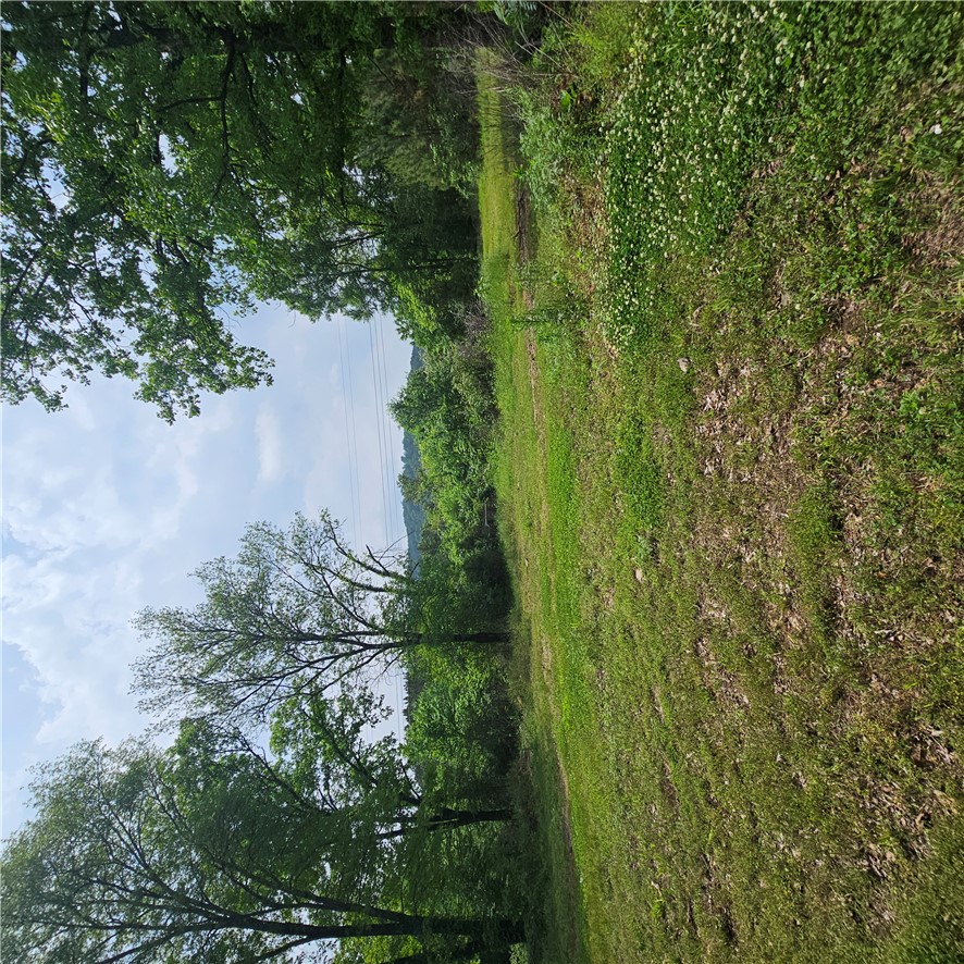 Hard-to-Find 5 Acres with Utilities Already On Site—Creek Included! Beautiful 5-acre property in Lamar, AR ready for your new home. Utilities already on site, septic in place, making it an excellent building location with less prep work required. Enjoy the natural beauty of a scenic creek running through the property, offering a peaceful setting for your dream home or weekend retreat. Located in a quiet rural area with convenient access to nearby towns. Bring your plans and make this property your own!
A peaceful creek runs through the property, adding natural charm and creating a relaxing setting surrounded by the beauty of the Arkansas countryside. Whether you’re looking for space to build, room to roam, or a quiet place to enjoy nature, this property offers the flexibility to bring your vision to life.
