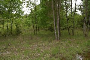 Convenient, Peaceful and AffordableThis is the perfect spot to build your sanctuary.  Large lot with great building site potential in a picturesque neighborhood.  Level lot backing up to government land.  Minutes from Mountain Home.  Nearby access to Lake Norfork at the end of the road.  Priced to sell.  1.83 acres m/lContact Jennifer Meaders @ 501-208-7343 or email jennifermeaders@kw.com