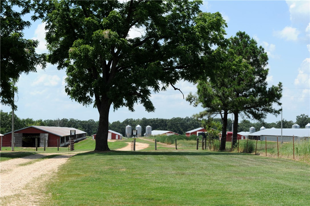 Premium Tyson contract for 7 pound broilers in 8 barns (40x400) built 1994 produces about $320,000 gross annually. Propane and well water. New spark brooders, new water lines, new cool cells, new wiring and new controllers put in all barns 2011. New well pump in 2017. Home is 3 bed and 1 bath and was completely remodeled inside in 2011. Nice clean farm ready for a new owner!
