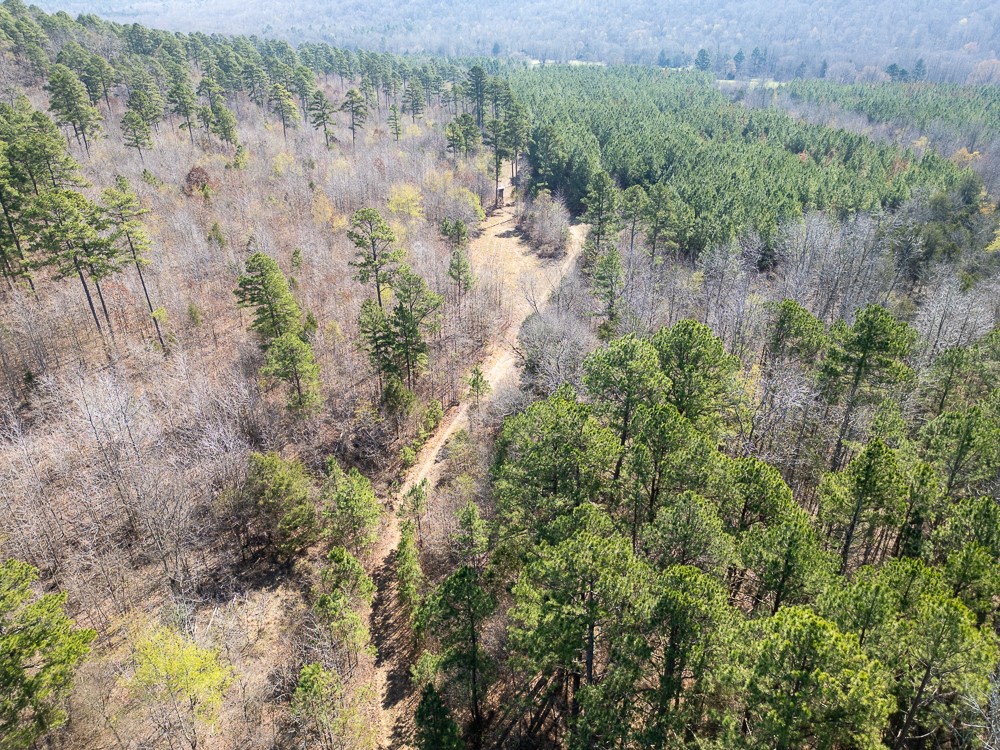 If you’re looking for a property just in time for turkey season, this 192± acre tract on Union Hill Road in Pleasant Plains, Arkansas offers a great opportunity in Independence County. Accessed by a gated easement, the property provides privacy along with an extensive trail system for easy navigation.
The land features mature pine timber that was select harvested approximately 15 years ago, along with strong hardwood regrowth creating excellent wildlife habitat. Several open pockets offer ideal locations for food plots, and the property supports abundant deer and turkey activity.
Situated above Departee Creek, the property also features seasonal streams that run during wetter months. With approximately 320 feet of elevation change, the terrain is steep and rugged, highlighted by rock outcroppings and bluff features.
Conveniently located 30 minutes from Batesville, 25 minutes from Bald Knob, and under an hour from Heber Springs. No utilities on site. Mineral rights do not convey.