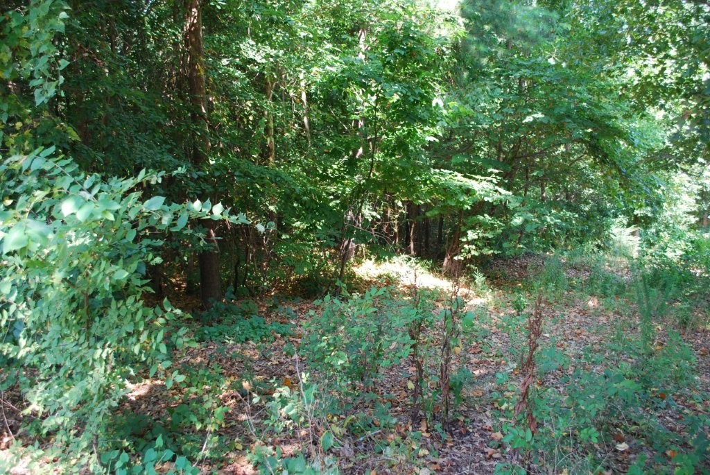 Annsborough Sub Bvv - Land
