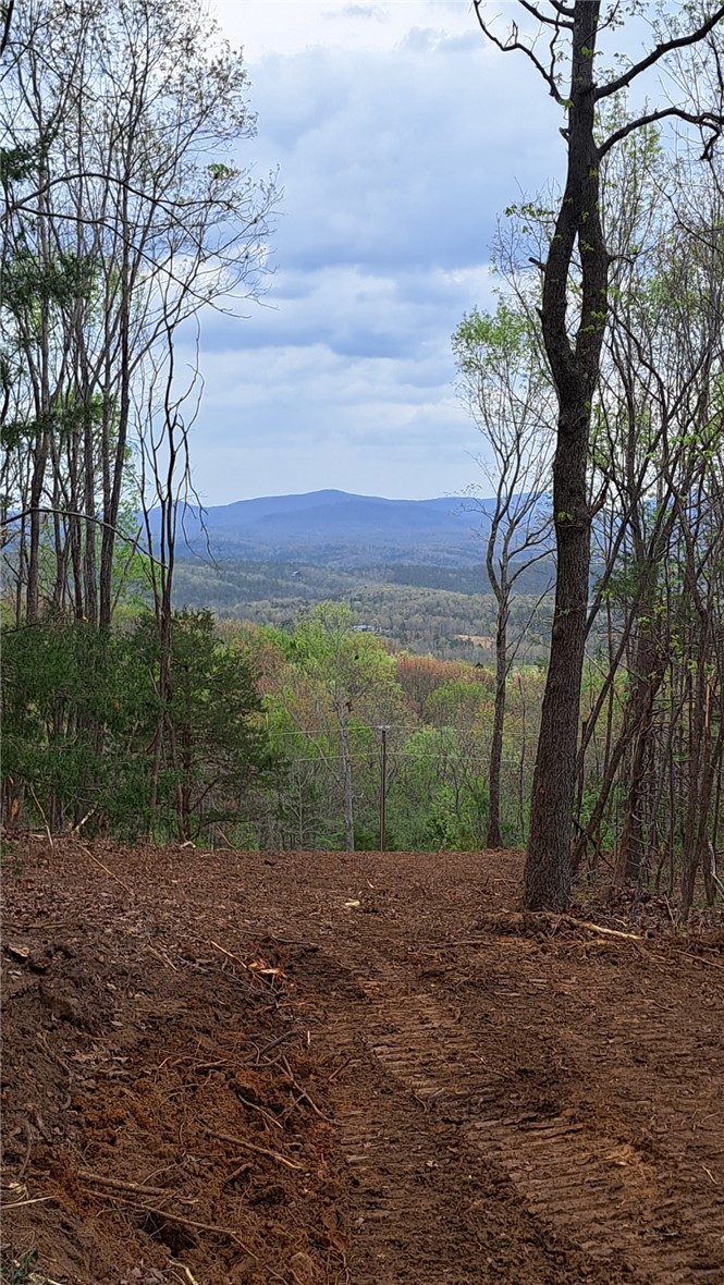 10 surveyed acres located just 4 miles from Carver (Buffalo National River), 9 miles to Jasper, and 14 miles to Western Grove. Level to gently sloping terrain with multiple potential build sites. Scenic views and peaceful setting ideal for a home, cabin, or recreational retreat. County road frontage on two sides with utilities available at the road, including rural water, electric, and cable. Needs septic. Survey on file. Great location for enjoying the Ozarks with easy access to hiking, fishing, and floating nearby.