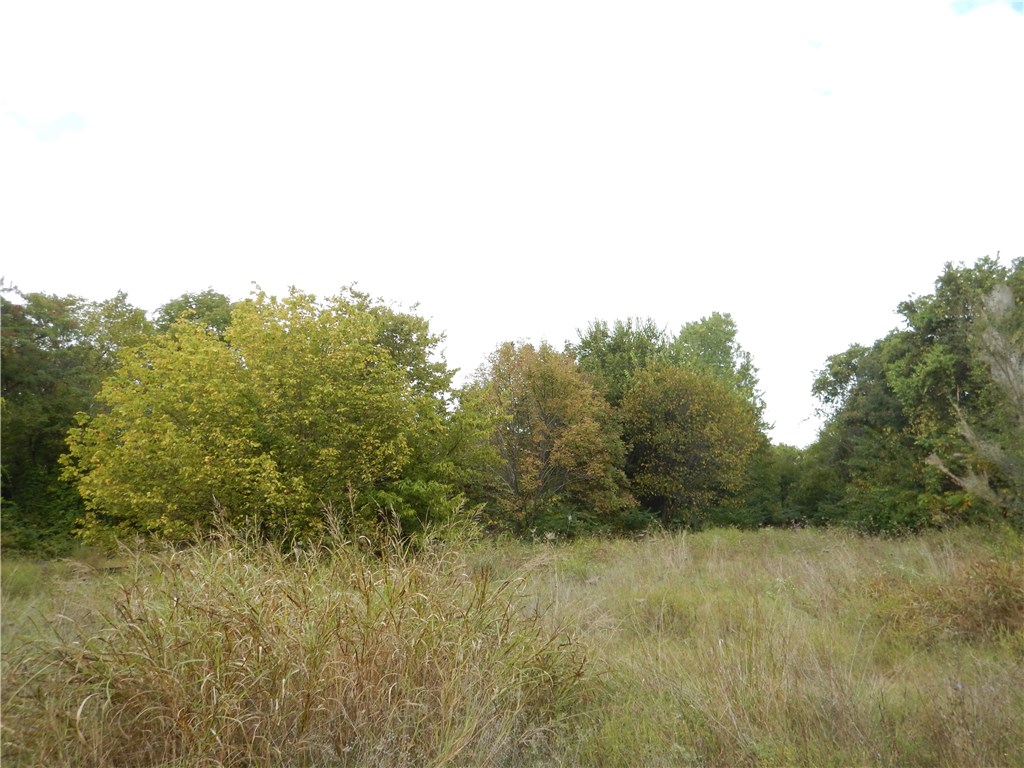 Fayetteville Outlots - Land
