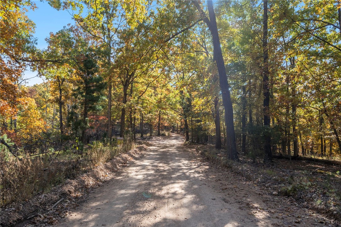 Beavers Cove - Land