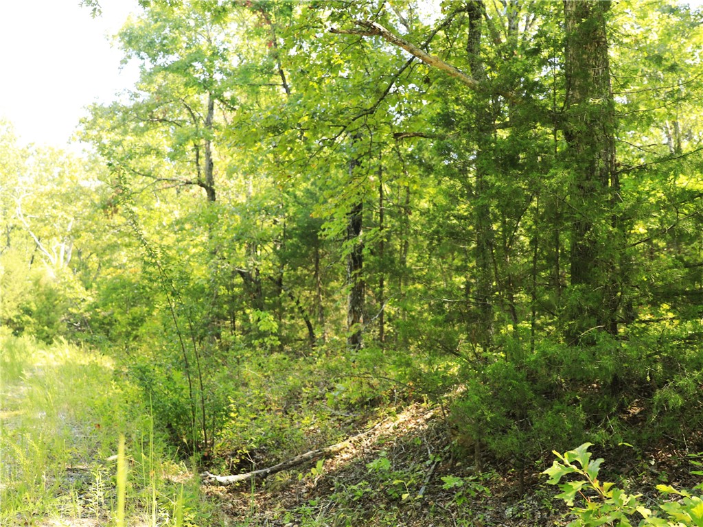 Pioneer Park - Land