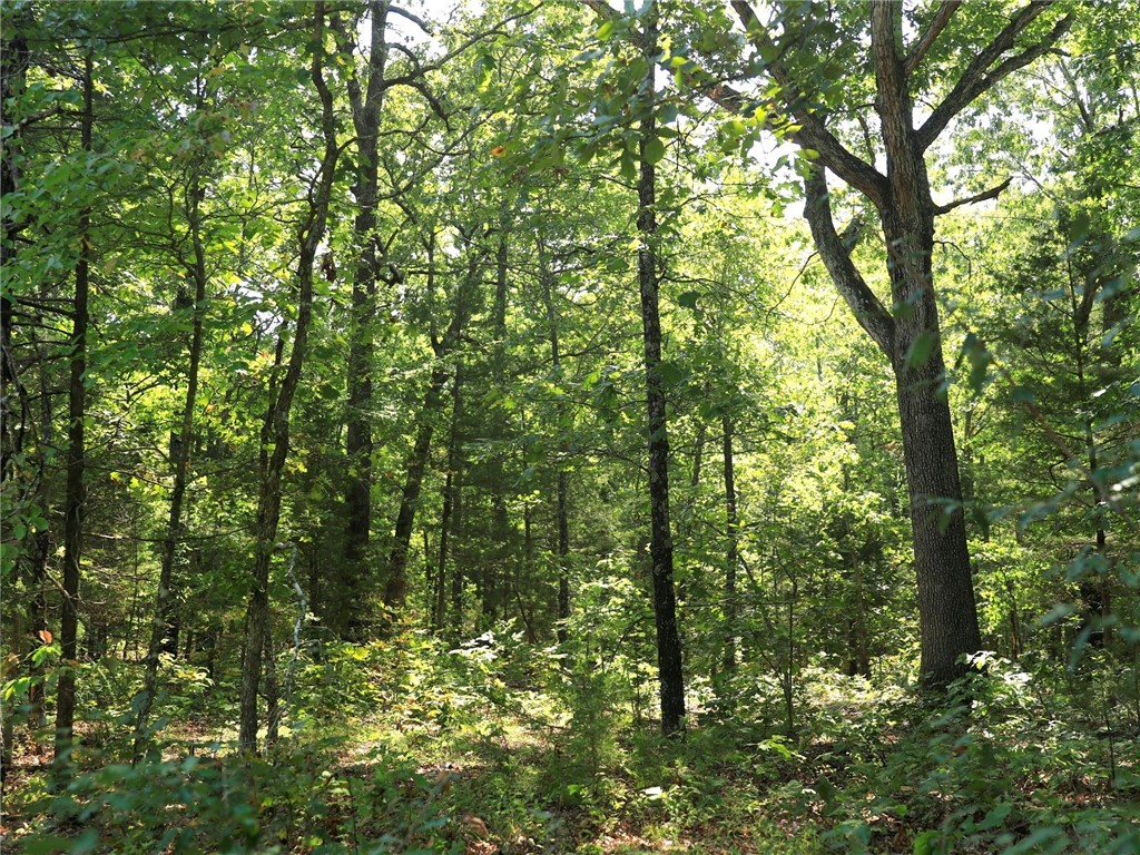 Pioneer Park - Land