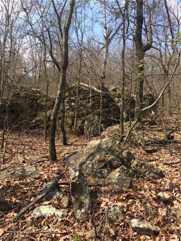 Owens Minor Subdivision - Land