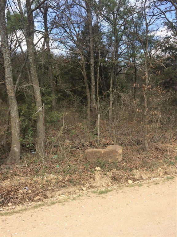 Owens Minor Subdivision - Land