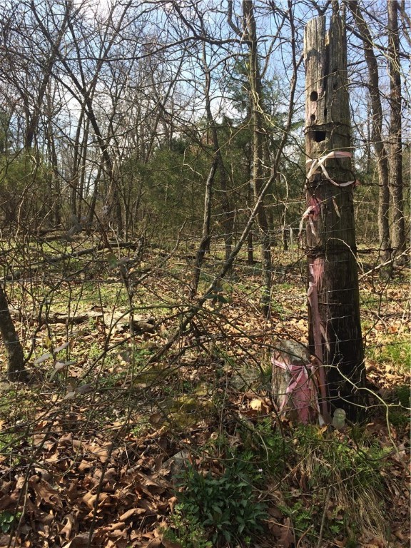 Owens Minor Subdivision - Land