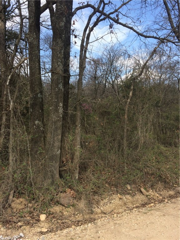 Owens Minor Subdivision - Land