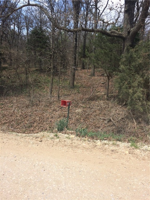 Owens Minor Subdivision - Land