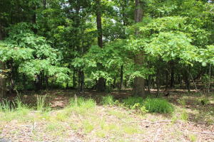 Great buy on 80 wooded acres. Private and wooded land would be great for hunting or building a cabin. Only minutes to Bull Shoals Lake access for fishing, boating and swimming.