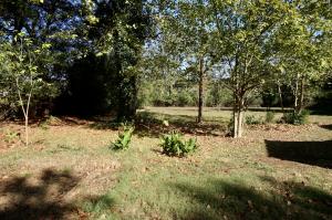 Other Subdivision in Johnson Co - Residential