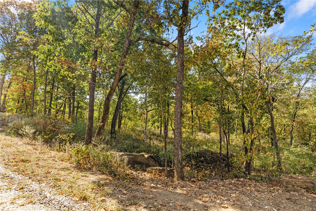 Round Mountain Estates - Land