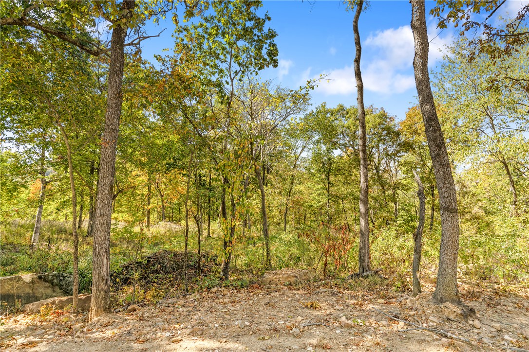Round Mountain Estates - Land