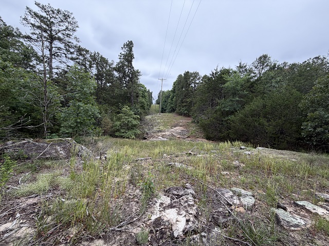 A rare 10 acres (m/l) in the heart of the Ozarks, this unrestricted tract on Old Dolph Lane offers the perfect blend of seclusion and convenience.Located just minutes from Calico Rock, the property feels worlds away thanks to its quiet setting, mature timber, and untouched naturallandscape. Whether you’re dreaming of a private getaway, a future homestead, or a recreational retreat, this land gives you the freedom toshape it your way. Positioned close to some of North Central Arkansas’s most sought after outdoor destinations, you’ll enjoy quick access to theWhite River, Norfork Lake, and the Norfork River—all renowned for world class trout fishing, boating, and year round adventure. Yet despite itsproximity to town and recreation, the property maintains a peaceful, tucked away feel that’s increasingly hard to find. The land has not beentimbered, offering a beautiful canopy of native hardwoods and natural habitat.