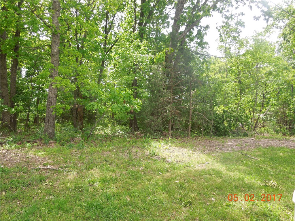 Very buildable level lot on 10th Green of Golf Course. Close to the Holiday Island Clubhouse and shopping. Beautiful setting with large trees.