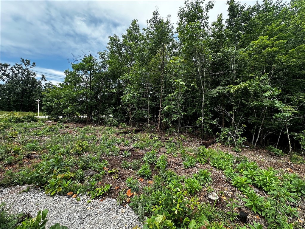 Great Corner Lot Gem in Bella Vista – MTB & Nature Enthusiast’s Dream! Bring your builder and your bikes to this exceptional corner lot on Lasswade Circle. Tucked away on a quiet street with minimal traffic, this property offers the perfect canvas for your custom dream home, combining serene residential living with world-class outdoor recreation right outside your front door. This location sits perfectly near the legendary Back 40 and Little Sugar trail networks. Enjoy ultra-convenient access to the outdoors: you are just steps from the paved Branchwood Walking Trail at 215 Glasgow Road for scenic strolls, and minutes from rapid single-track mountain bike access via the nearby Glemsford Drive crossing on the Back 40 system. Best of all, you are only 24 minutes from the vibrant energy, dining, and world-class museums of Bentonville. Don't miss this opportunity to live near premier lakes, golf, and trails!