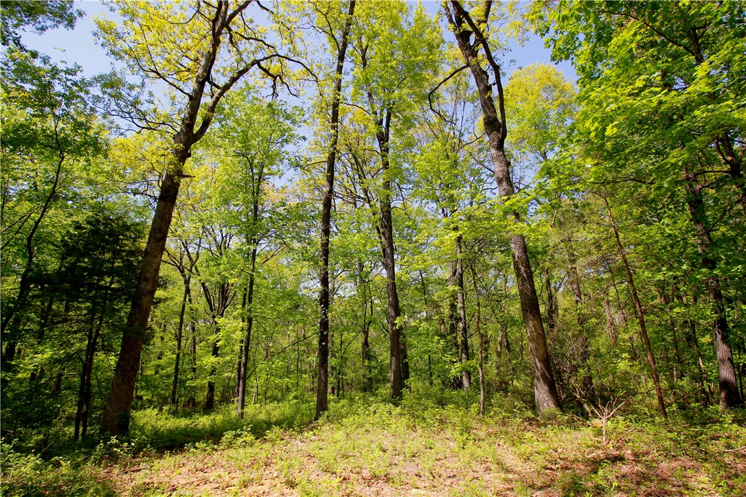 Berryville Outlots - Land