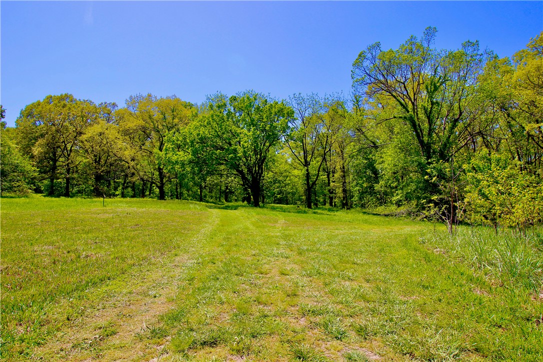 Location and usability take center stage with this rare 21+/- acre property in the heart of Berryville! As its one of the last large parcel's of its kind within the city limits, this tract is situated in both the commercial and residential district, making it an exceptional opportunity for investors, developers, or business owners. With 650+/- feet of Highway 62 Spur frontage and positioned just ¼ mile from Wal-Mart, this property offers unmatched convenience for a variety of potential uses. The land is an ideal balance of road frontage, privacy, and accessibility, all within minutes of amenities. Whether you're considering a residential development, business venture, or a private estate, this property has the infrastructure to support your vision. Multiple utilities are available at different access points, including sewer, natural gas, city water, and electric, adding to the ease of development. This level property features a mix of pasture and mature timber offering both appeal and functional land use.
