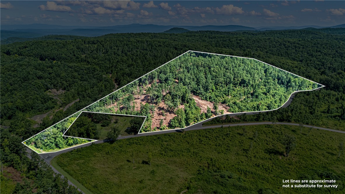 ***Update*** Property has been partially cleared! -

19 +/- acres off of Old 3 Knob Mountain Rd near the SR 164 W intersection is now available. This diamond in the rough has a lot of potential just waiting on a Buyer with vision to come along! This property is within minutes of the Ozark National Forest, Piney Creek, Mack's Pines, Long Pool Swimming Area, & downtown Dover, AR making it the perfect spot for a base camp. Enjoy the peace of rural Arkansas living without sacrificing a short trip back to the city.
