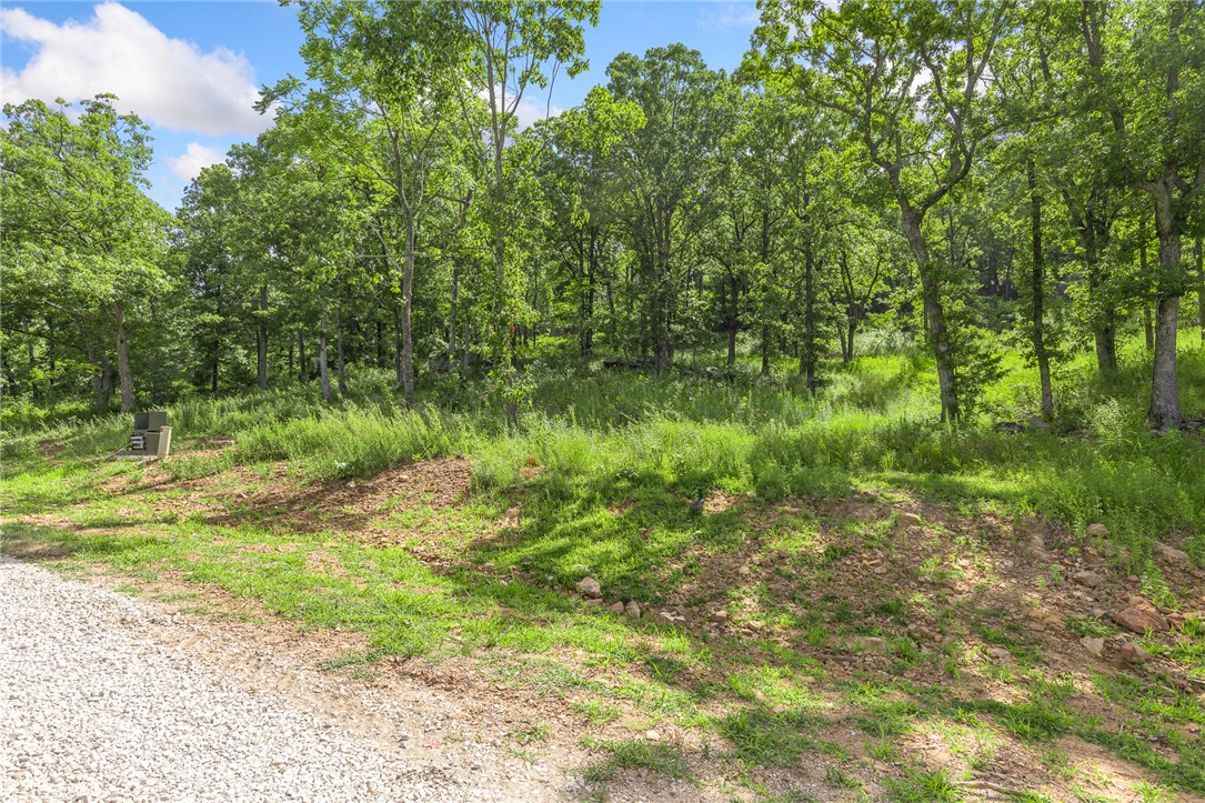 Round Mountain Estates - Land