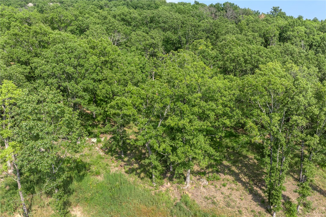 Round Mountain Estates - Land