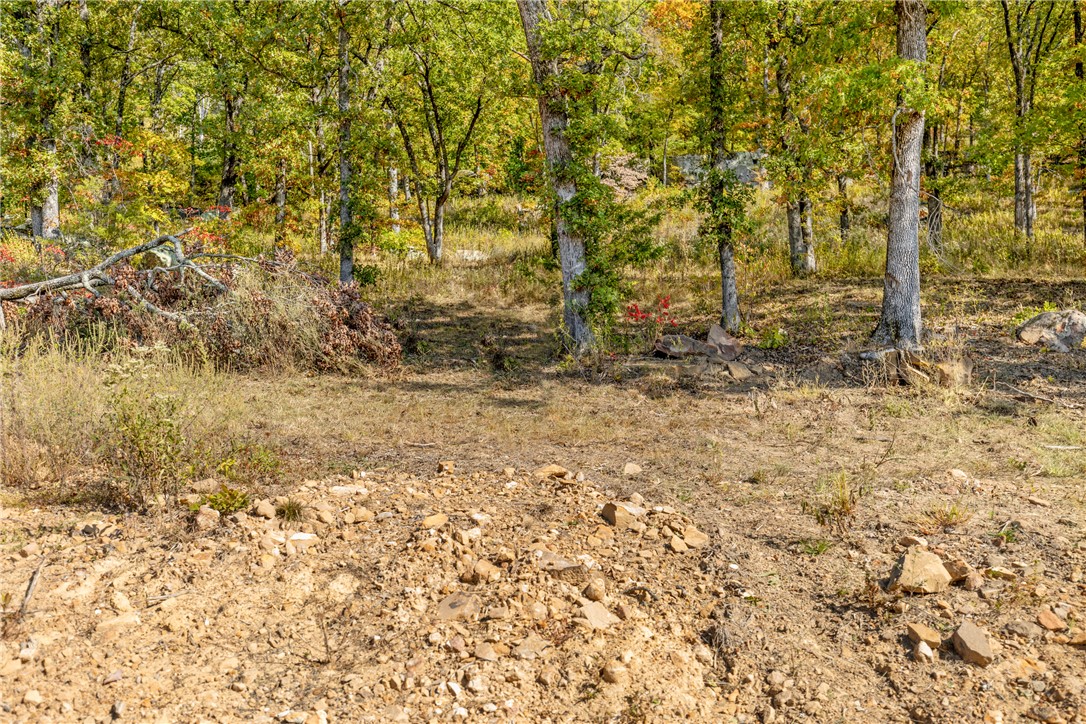Round Mountain Estates - Land