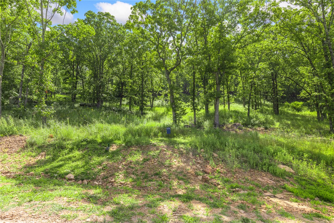 Round Mountain Estates - Land