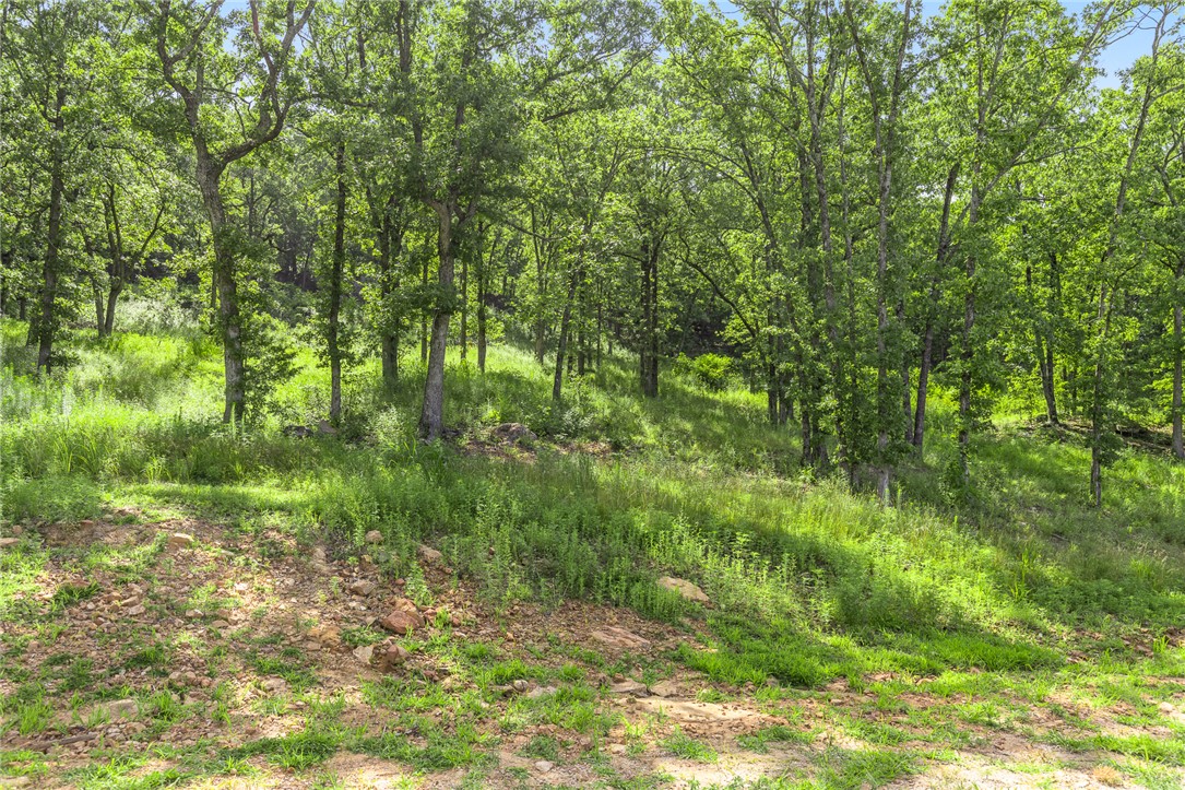 Round Mountain Estates - Land