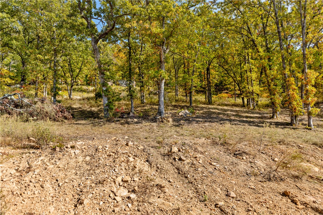 Round Mountain Estates - Land