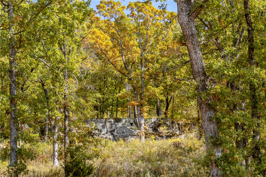 Round Mountain Estates - Land