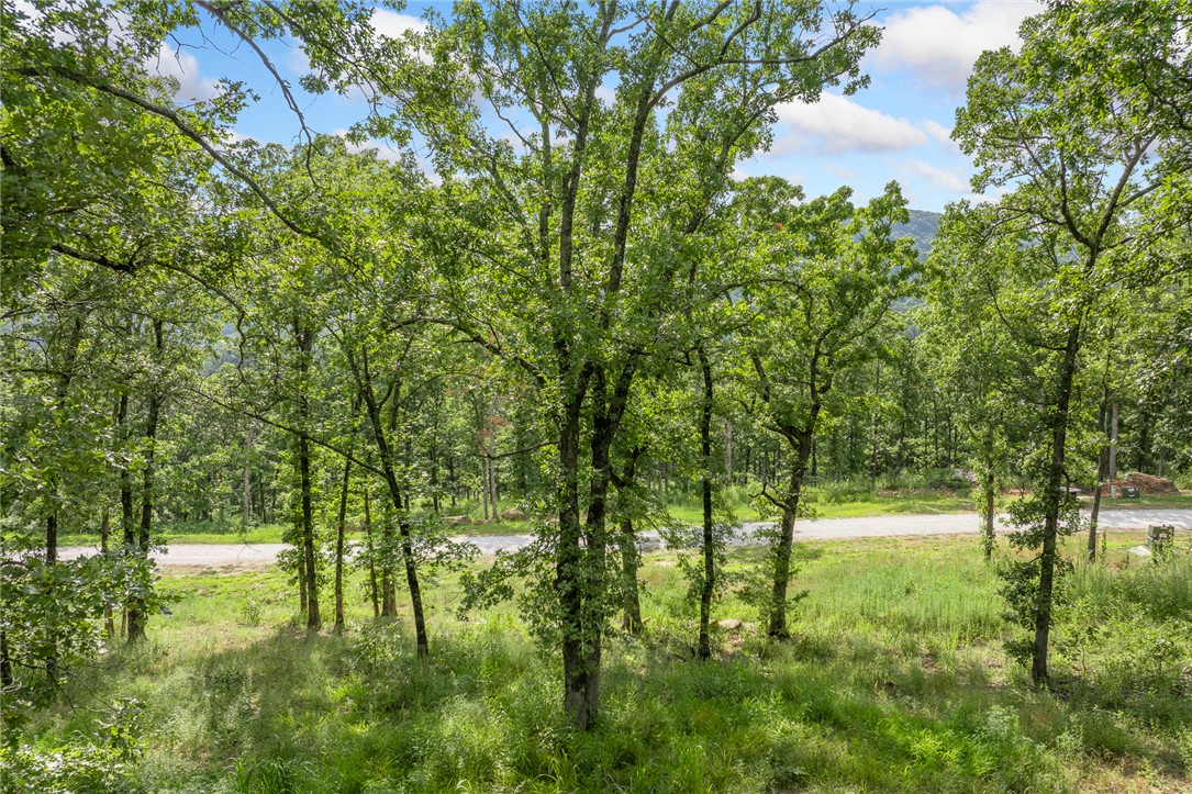 Round Mountain Estates - Land