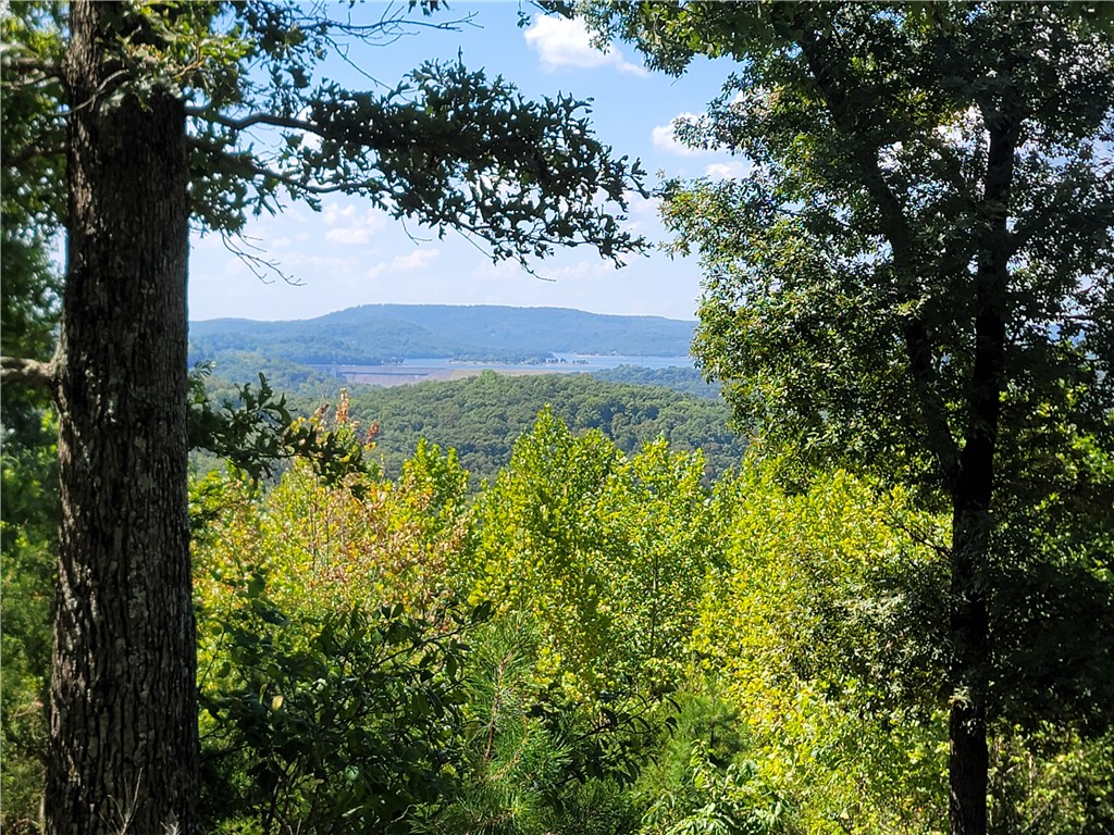 Clayborn Creek - Land