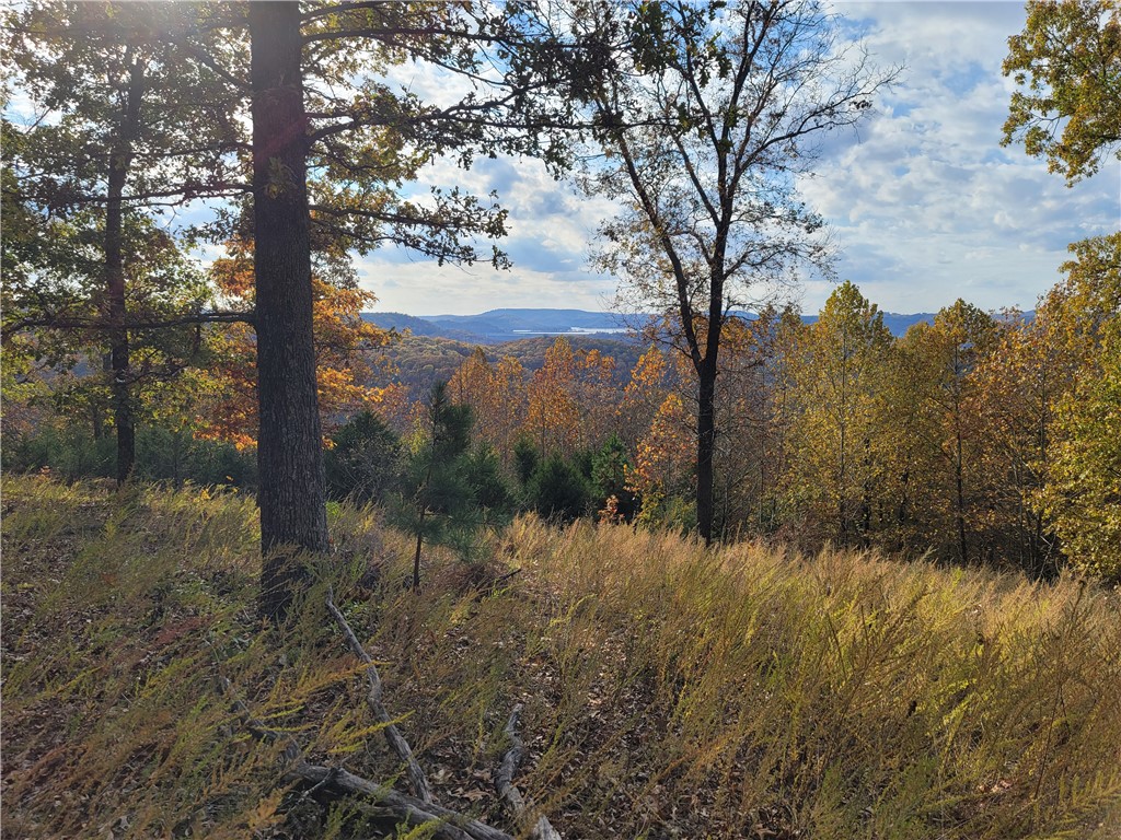 Clayborn Creek - Land