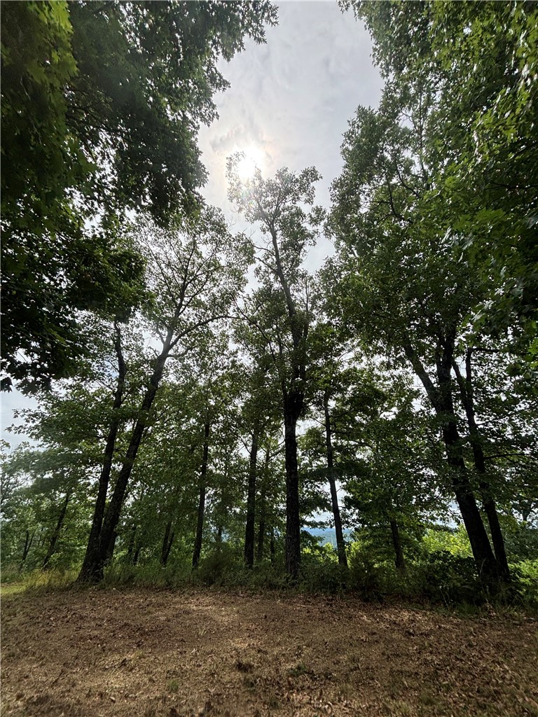 Clayborn Creek - Land
