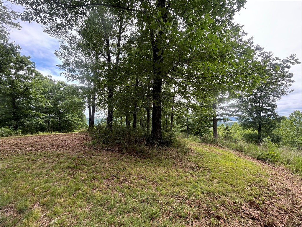 Clayborn Creek - Land