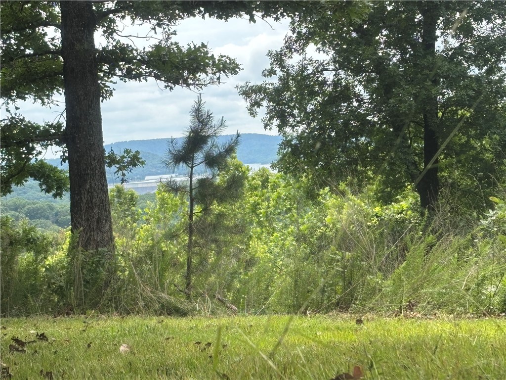 Clayborn Creek - Land