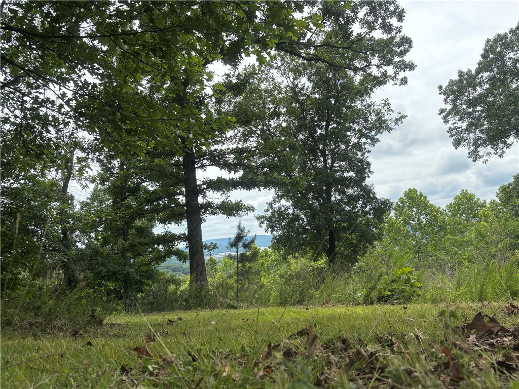 Clayborn Creek - Land