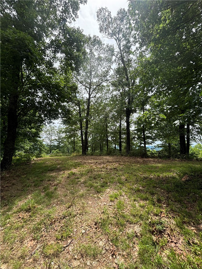 Clayborn Creek - Land