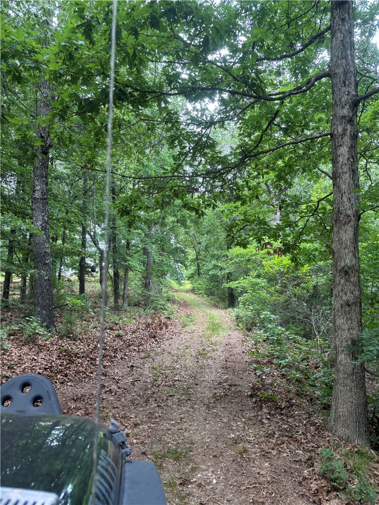 Clayborn Creek - Land